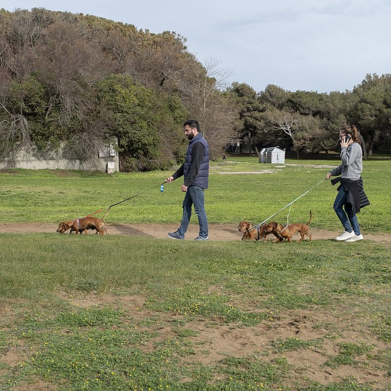 Walking with my dog (17).JPG